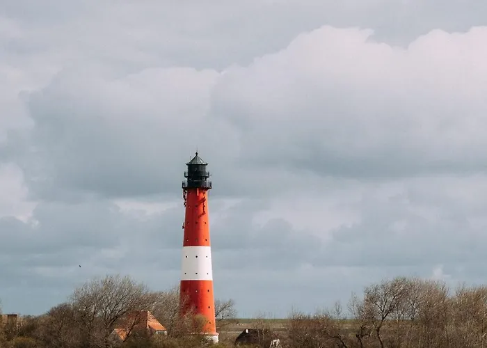 Kalle's Reethus * Pellworm