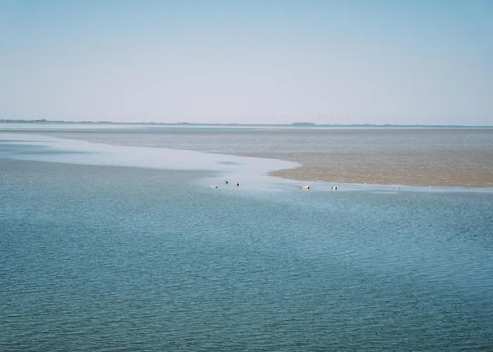 Lägenhet Kalle's Reethus