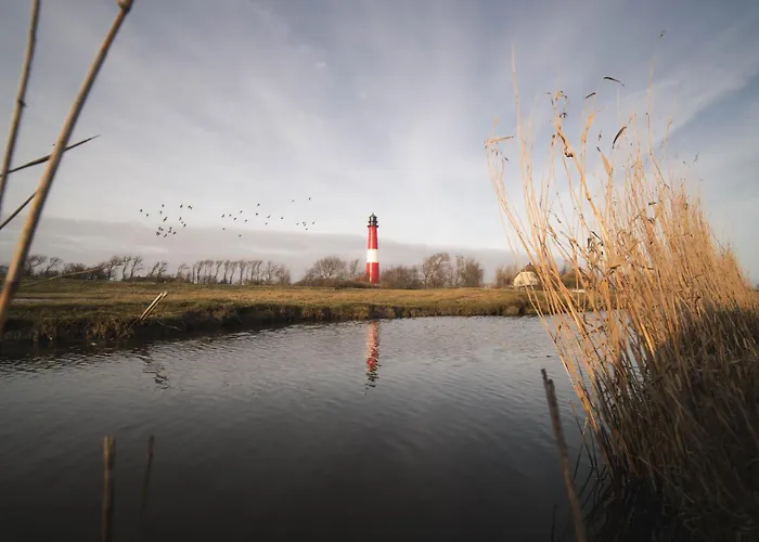 Kalle's Reethus Lägenhet *