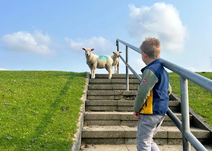 Lägenhet Kalle's Reethus Pellworm